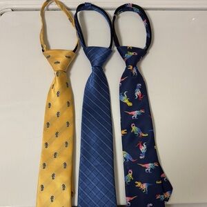 Kids Dinosaur and Patterned Ties Set